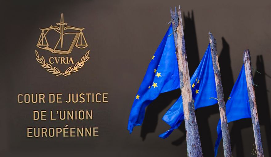 Spór o puszczę białowieską w trybunale sprawiedliwości UE – to europejski wymiar ekologizmu